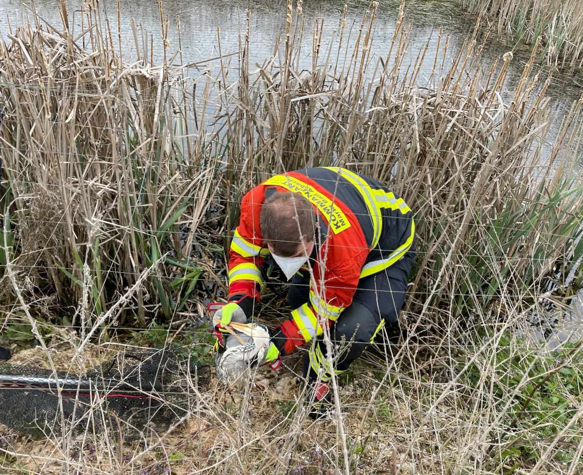 Technische Hilfeleistung